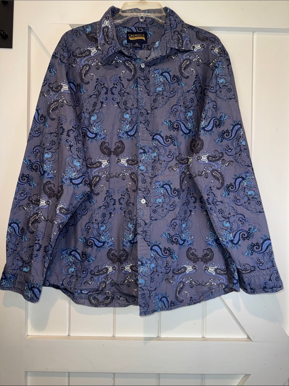 Daniel Cremieux Blue Paisley Button-Down Shirt